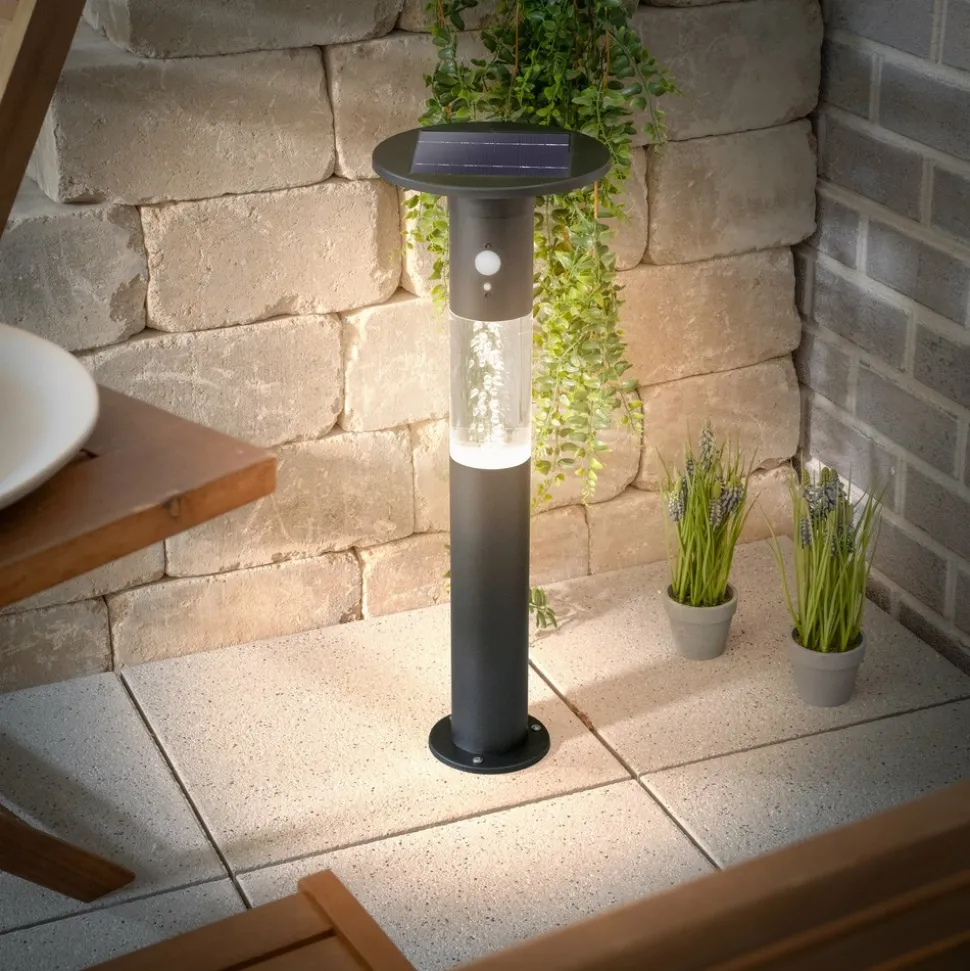 ESOTEC - Esotec solar lampe sur socle à détecteur biella 60cm noire ip44 résistante aux intempéries 102756