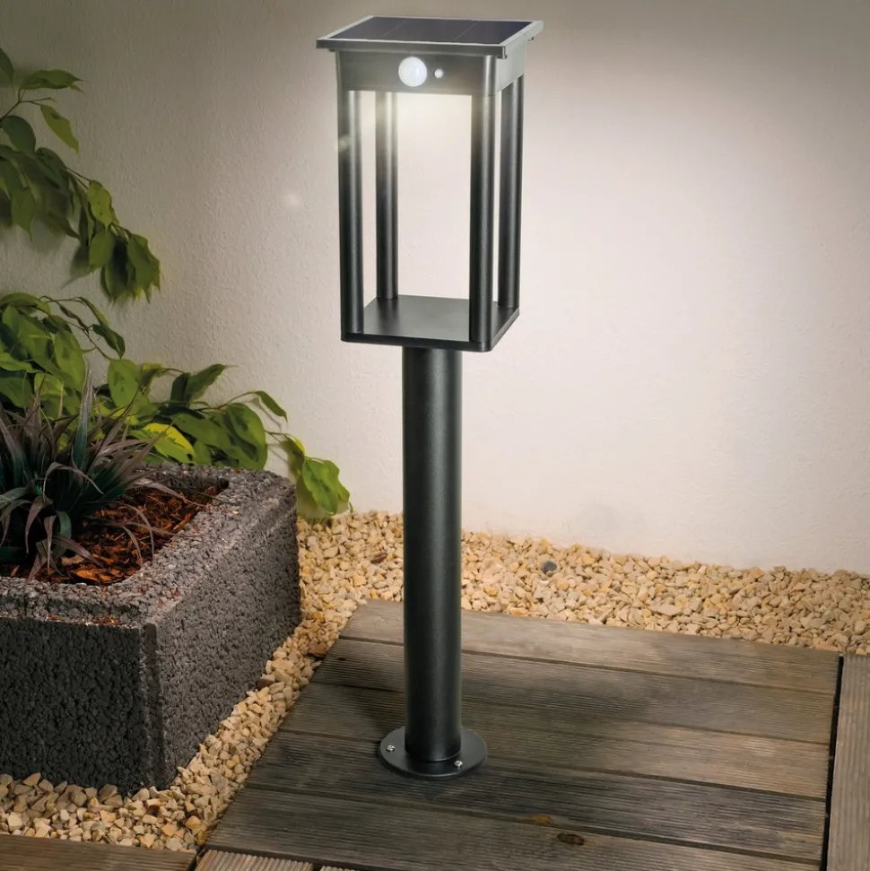 ESOTEC - Esotec solar lanterne sur pied termoli 66 cm avec capteur ip44 outdoor 102757