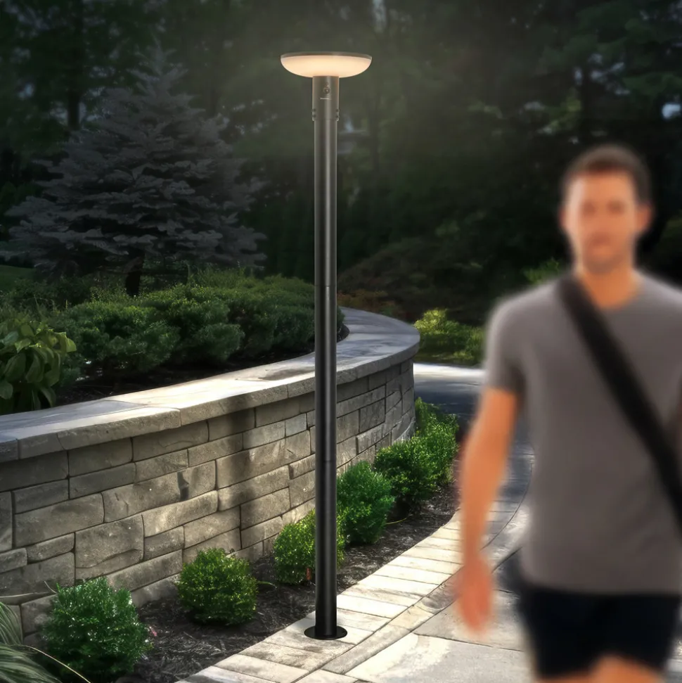 ESOTEC - Esotec solar pir lampe sur pied linus 200 max cct télécommande aluminium 102945