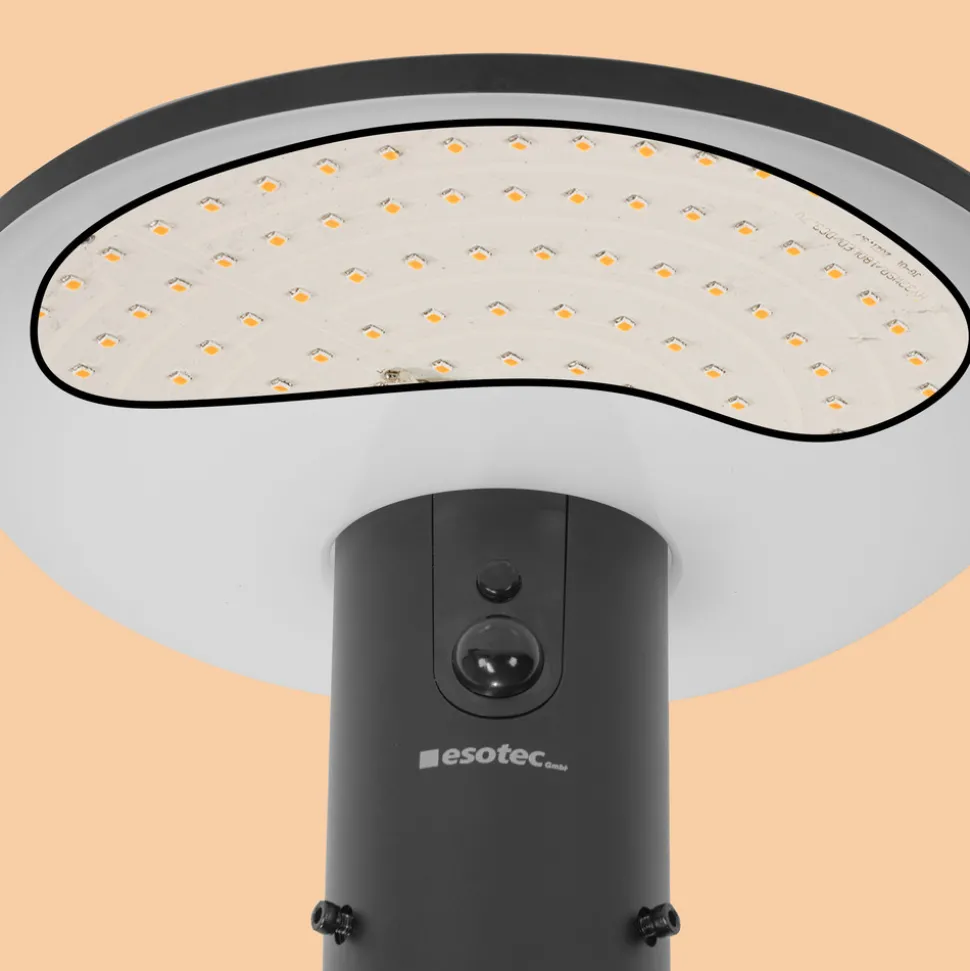 ESOTEC - Esotec solar pir lampe sur pied linus 200 max cct télécommande aluminium 102945