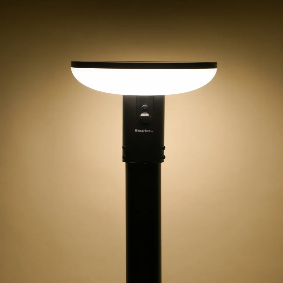 ESOTEC - Esotec solar pir lampe sur pied linus 200 max cct télécommande aluminium 102945