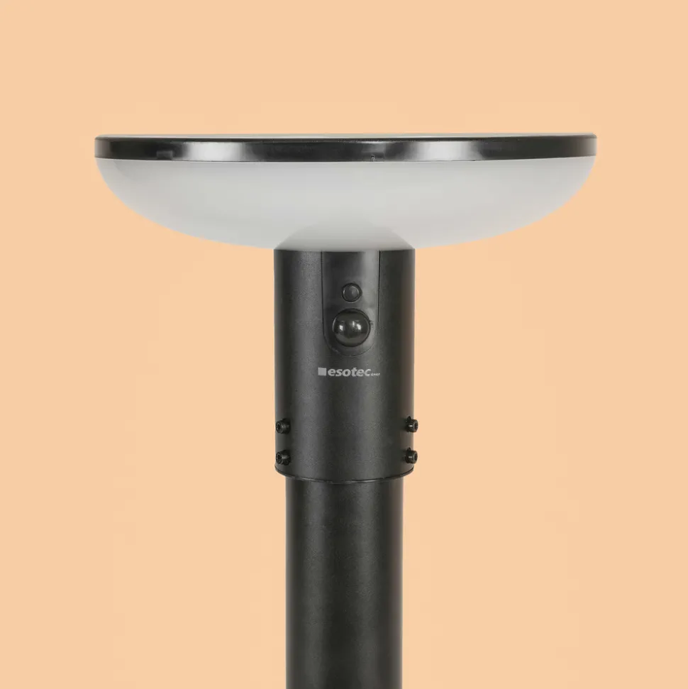 ESOTEC - Esotec solar pir lampe sur pied linus 200 max cct télécommande aluminium 102945