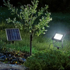 ESOTEC - Esotec solar projecteur mural et projecteur de sol power flood en blanc froid 102702