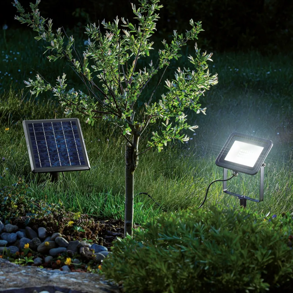 ESOTEC - Esotec solar projecteur mural et projecteur de sol power flood en blanc froid 102702
