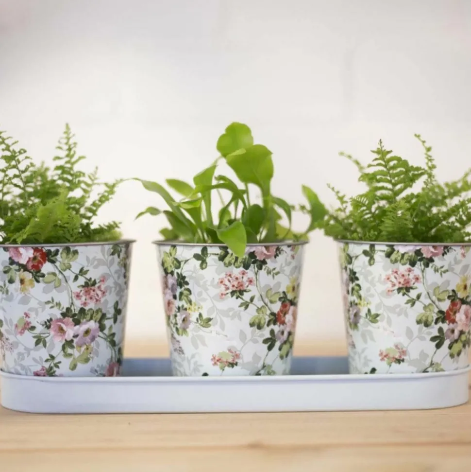 ESSCHERT DESIGN - Jardinière 3 pots roses