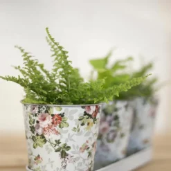 ESSCHERT DESIGN - Jardinière 3 pots roses