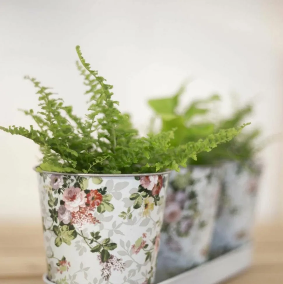 ESSCHERT DESIGN - Jardinière 3 pots roses