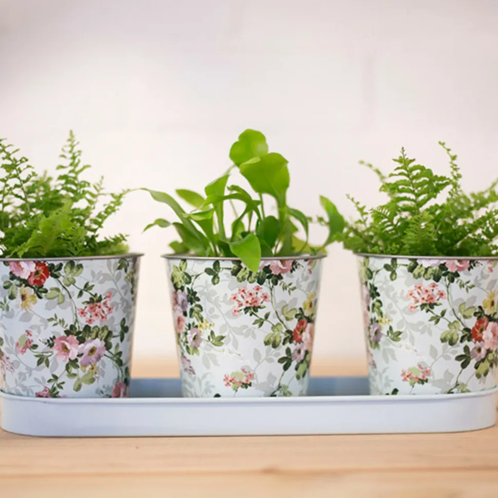ESSCHERT DESIGN - Jardinière 3 pots roses