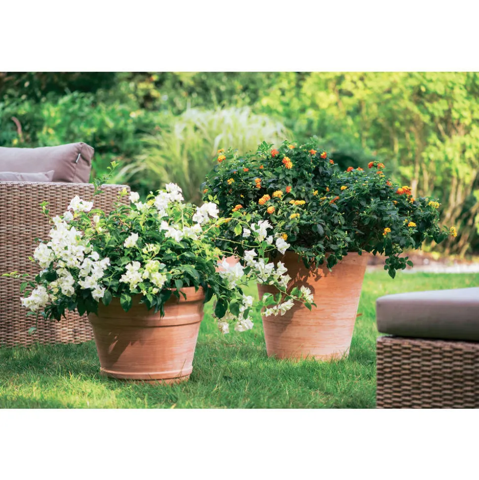 GOICOECHEA - Cuvier Contemporain en terre cuite Ø 39 x H. 38cm