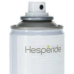 HESPÉRIDE - Nettoyant pour métaux et protection contre la corrosion aérosol 200ml