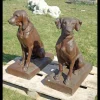 LA GRANDE PRAIRIE - Couple 2 chiens chasse fonte rouille 60x30x70cm