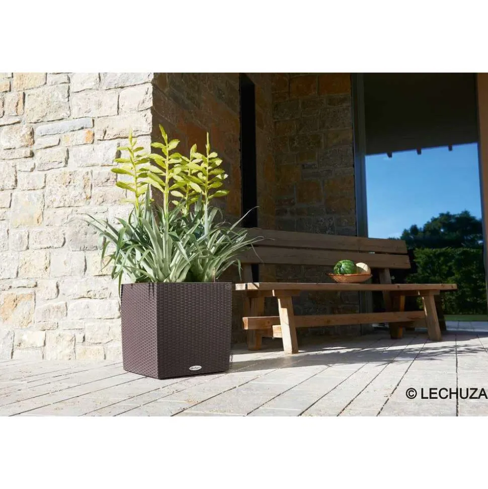 LECHUZA - Cube Cottage en polypropylène, moka L. 50 x l. 50 x H. 50 cm