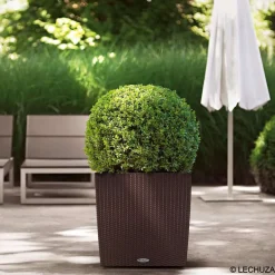 LECHUZA - Cube Cottage en polypropylène, moka L. 50 x l. 50 x H. 50 cm