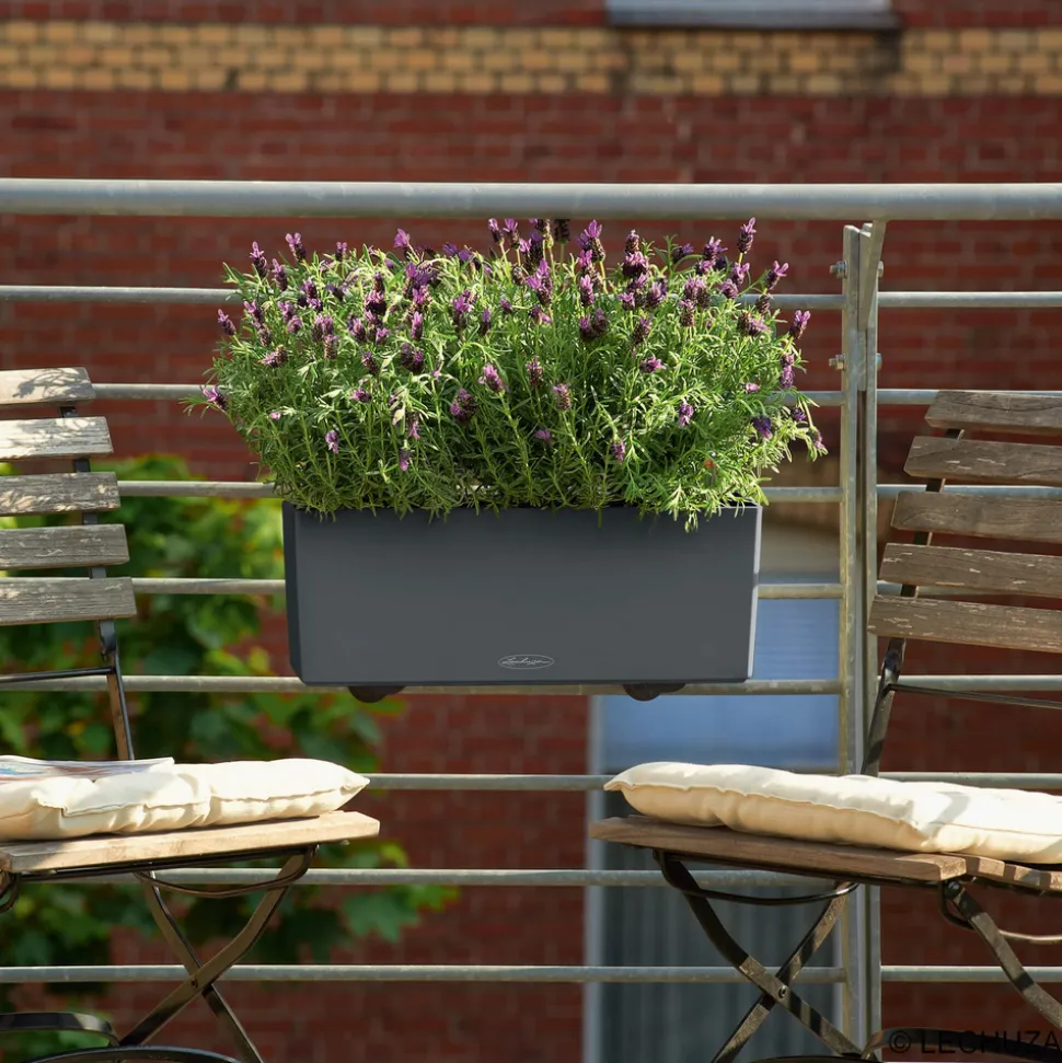 LECHUZA - Jardinière Balconera color, coloris gris ardoise - 50x19x19cm