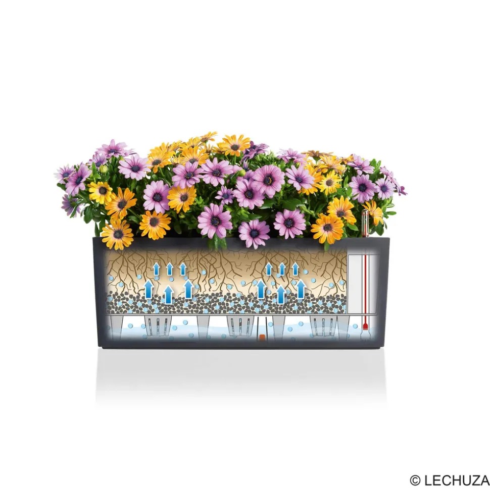 LECHUZA - Jardinière Balconera color, coloris gris ardoise - 50x19x19cm