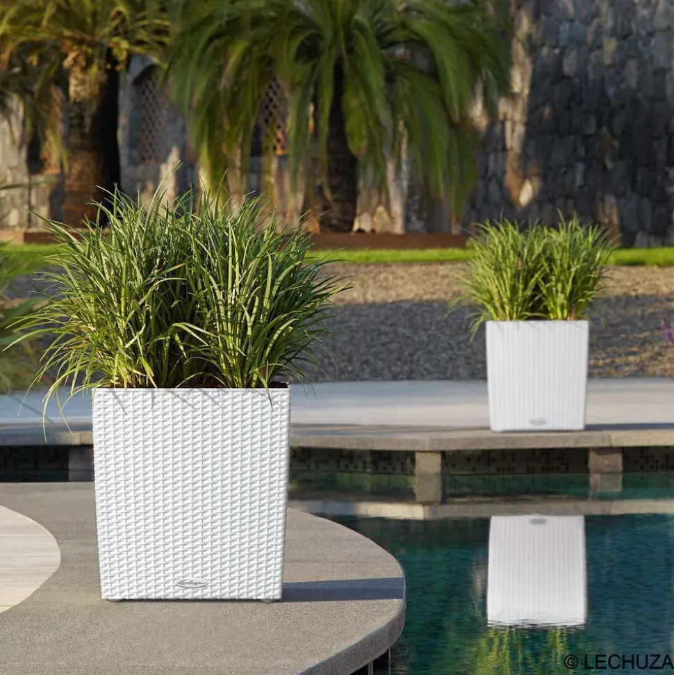 LECHUZA - Pot Cube Cottage en polypropylène, blanc L. 30 x l. 30 x H. 30 cm
