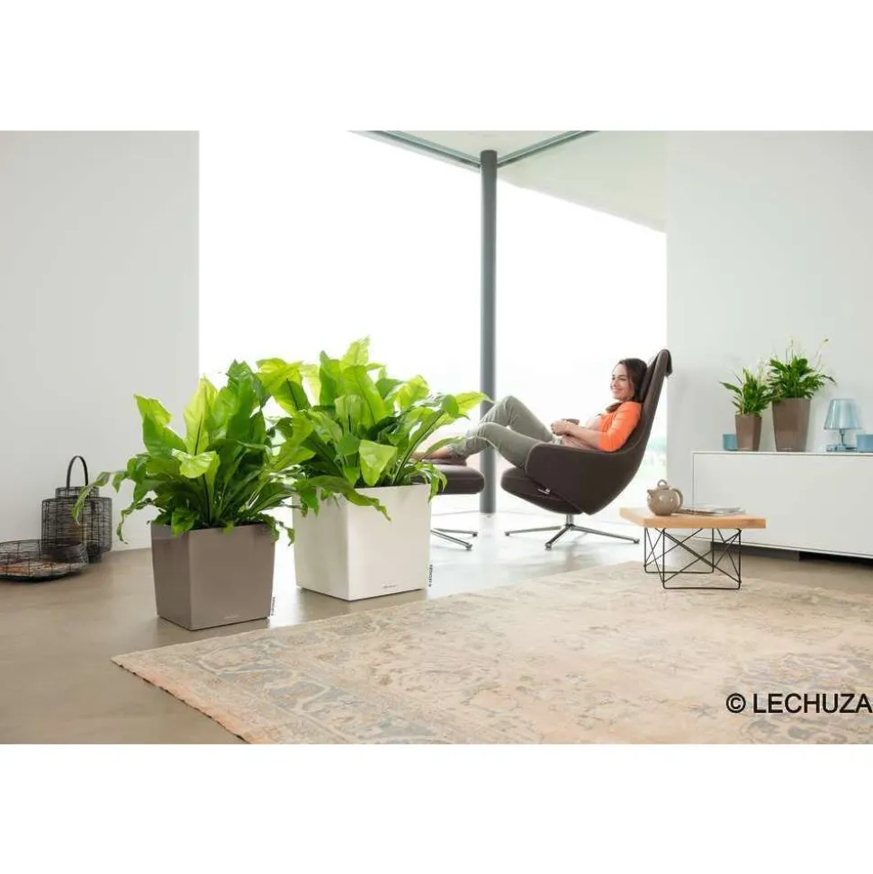 LECHUZA - Pot Cube Premium en polypropylène, blanc L. 30 x l. 30 x H. 30 cm
