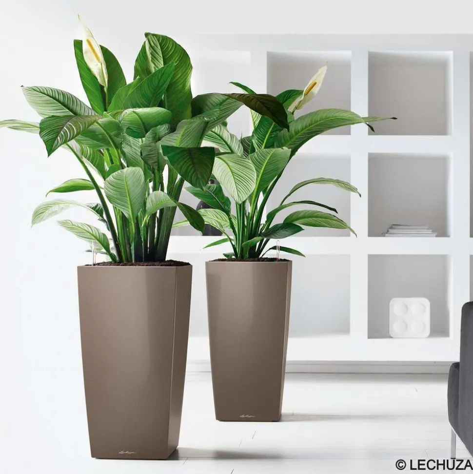LECHUZA - Pot Cubico Premium en polypropylène, taupe L. 30 x l. 30 x H. 56 cm