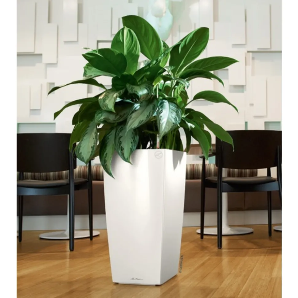 LECHUZA - Pot Cubico Premium, coloris blanc L.40xl.40xH.75cm