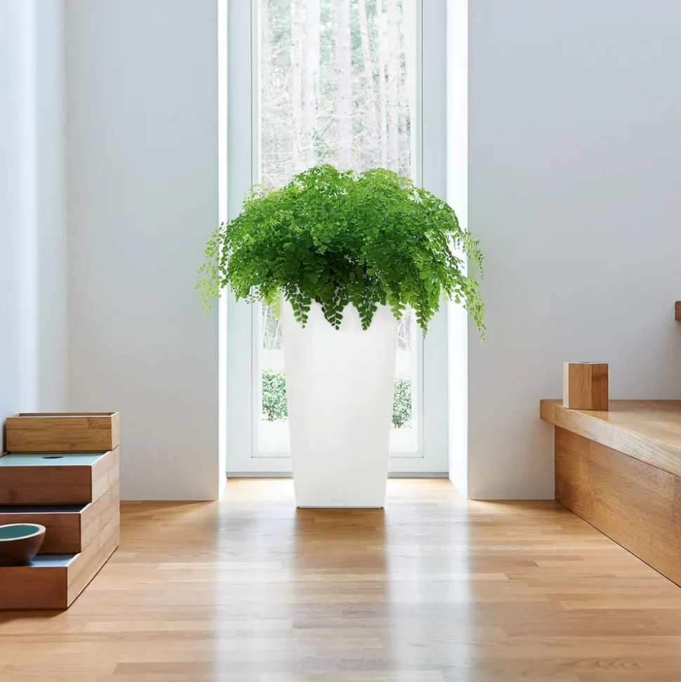 LECHUZA - Pot Cubico Premium, coloris blanc L.40xl.40xH.75cm