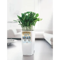 LECHUZA - Pot Cubico Premium, coloris blanc L.40xl.40xH.75cm