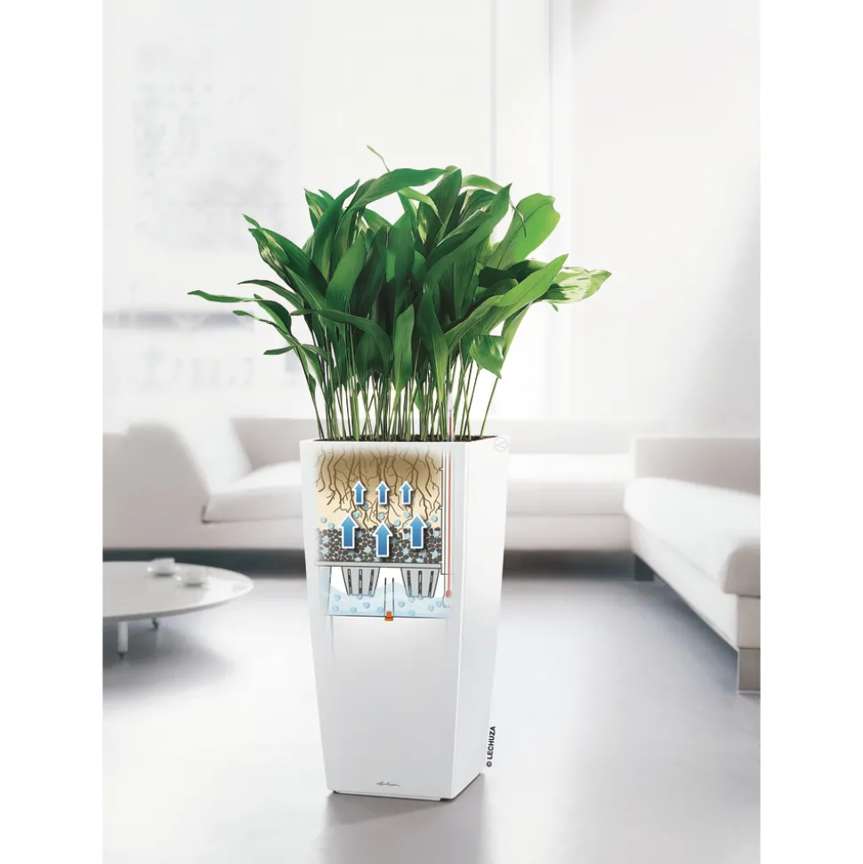 LECHUZA - Pot Cubico Premium, coloris blanc L.40xl.40xH.75cm