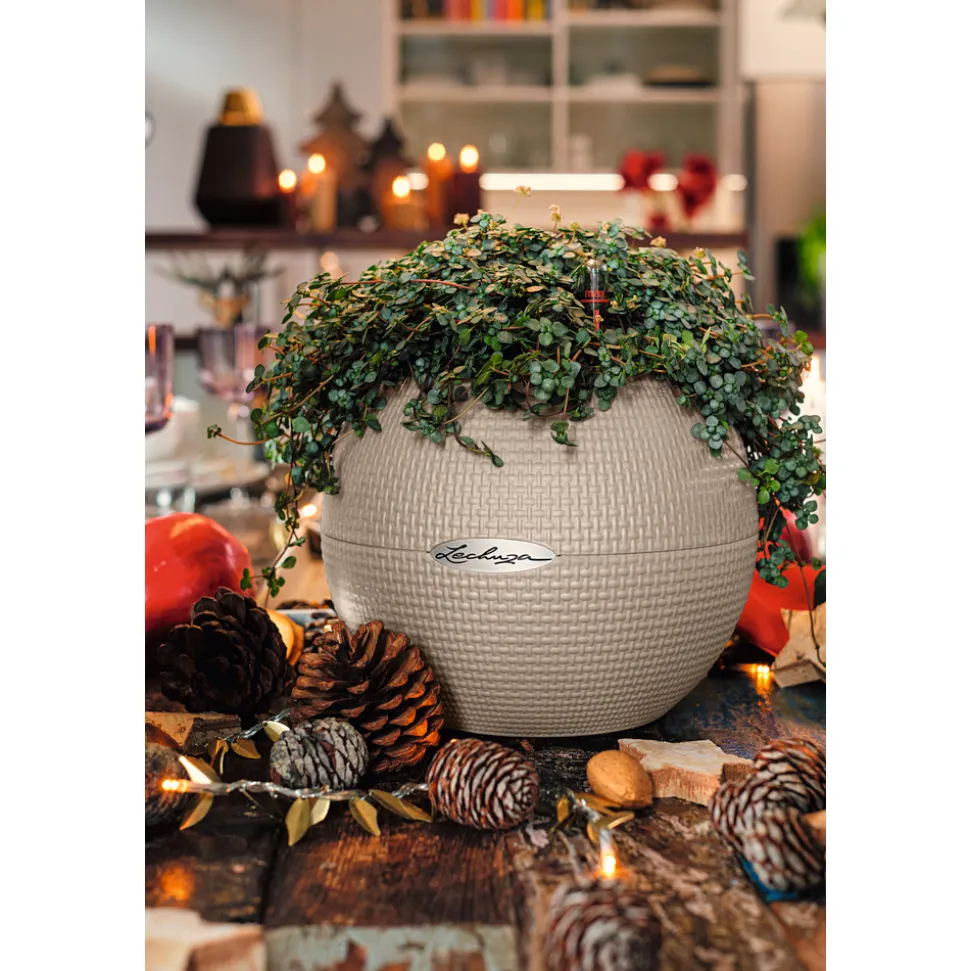 LECHUZA - Pot Puro Color, coloris brun sable D.20cm