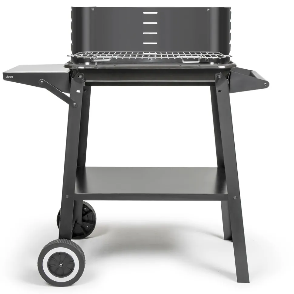 LIVOO - Livoo barbecue à charbon 48.5 x 28.8cm - doc328