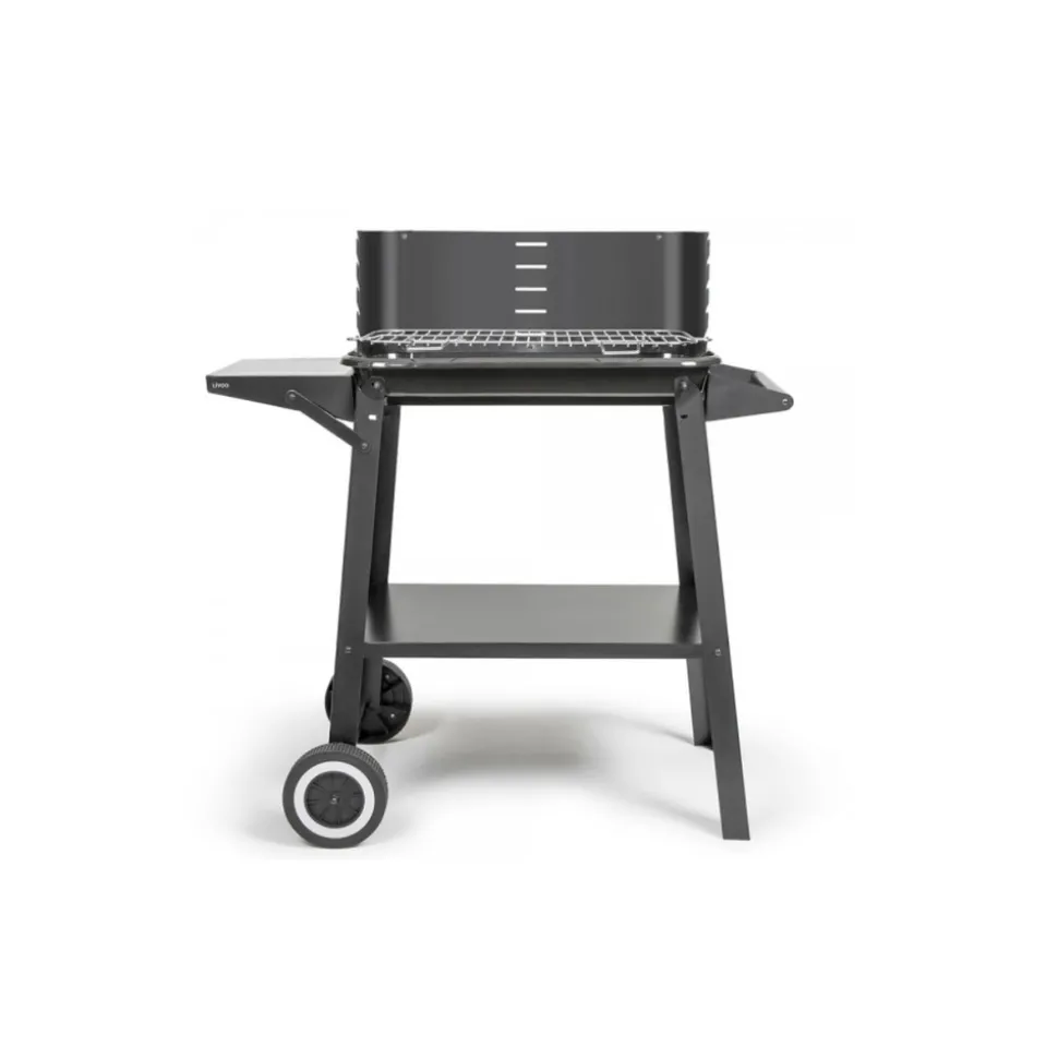 LIVOO - Livoo barbecue à charbon 48.5 x 28.8cm - doc328