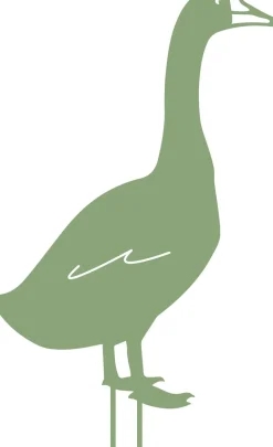 LOUIS MOULIN - Figurine à piquer oie - 50x34 cm - vert clair
