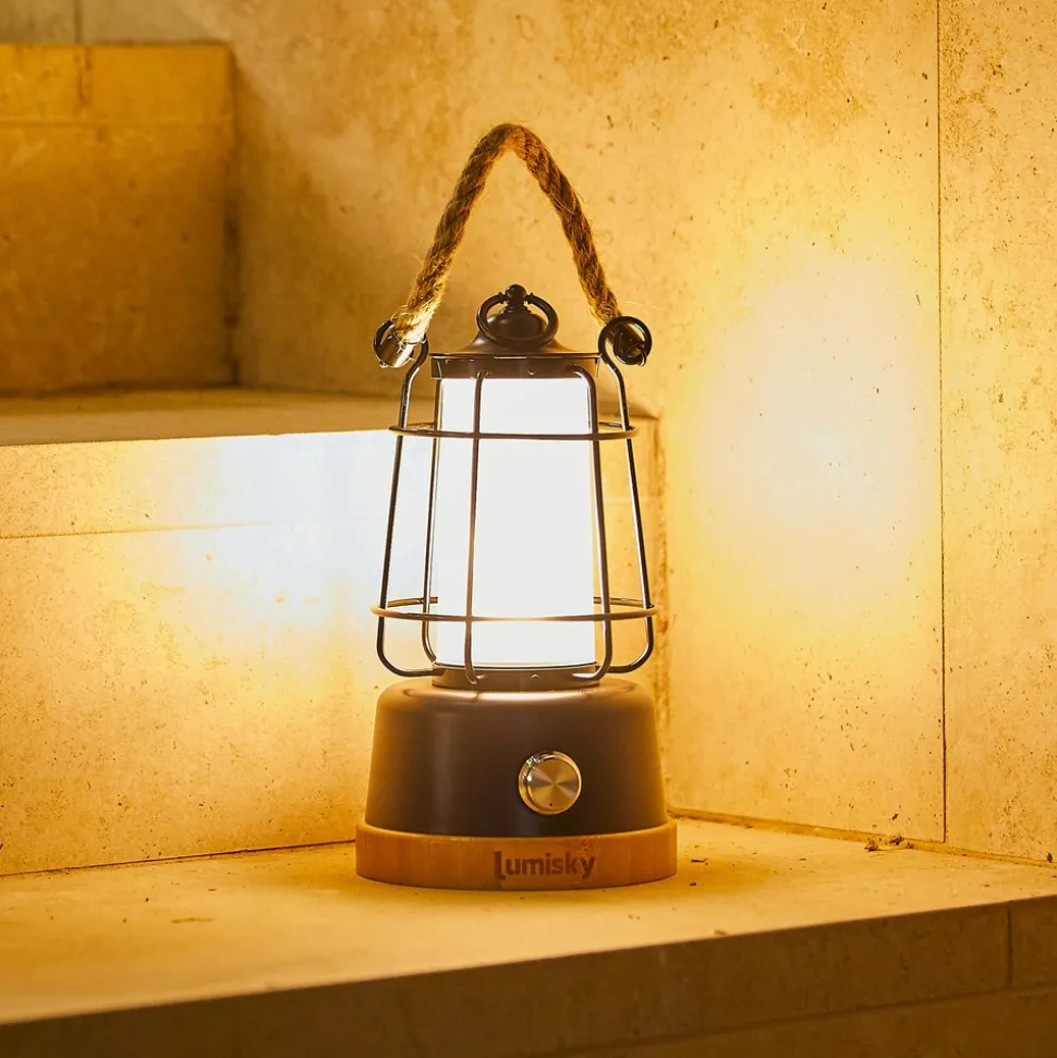 LUMISKY - Lanterne sans fil led wildy noir metal h23cm