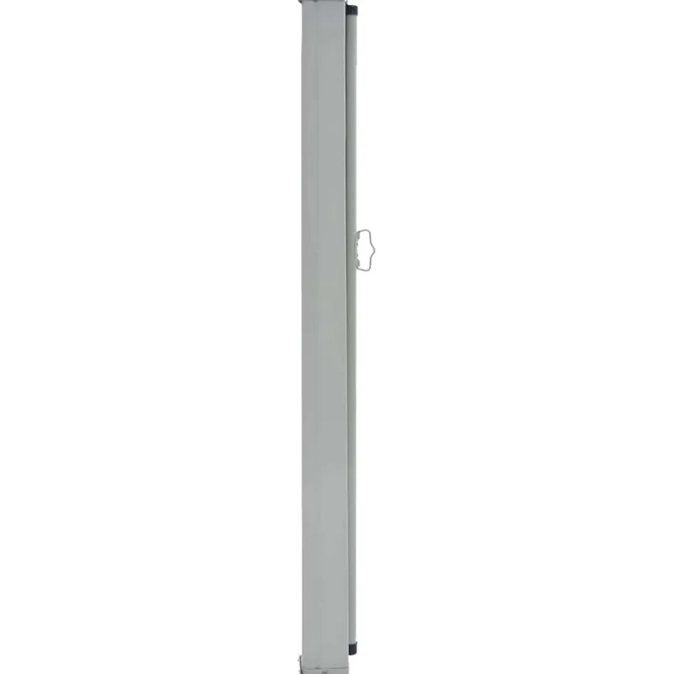 MAISON EXCLUSIVE - Auvent latéral rétractable de patio 80x300 cm bleu