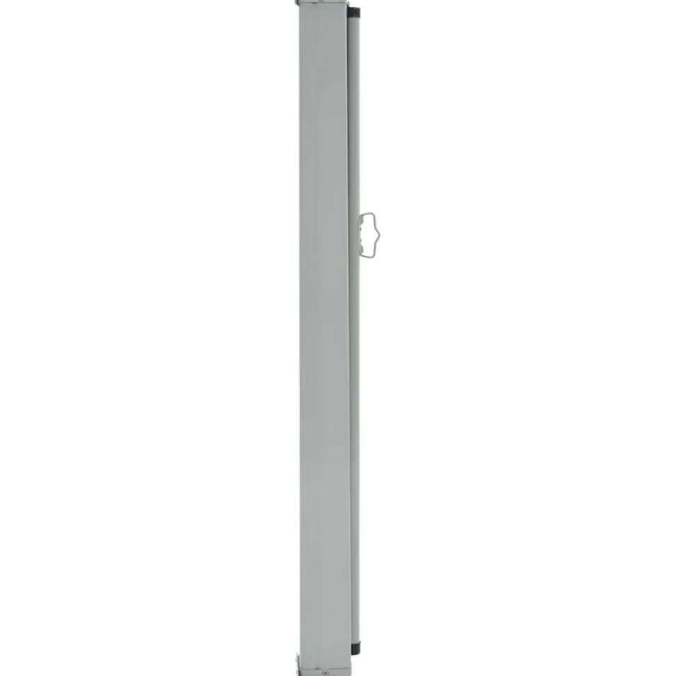 MAISON EXCLUSIVE - Auvent latéral rétractable de patio 100x300 cm bleu