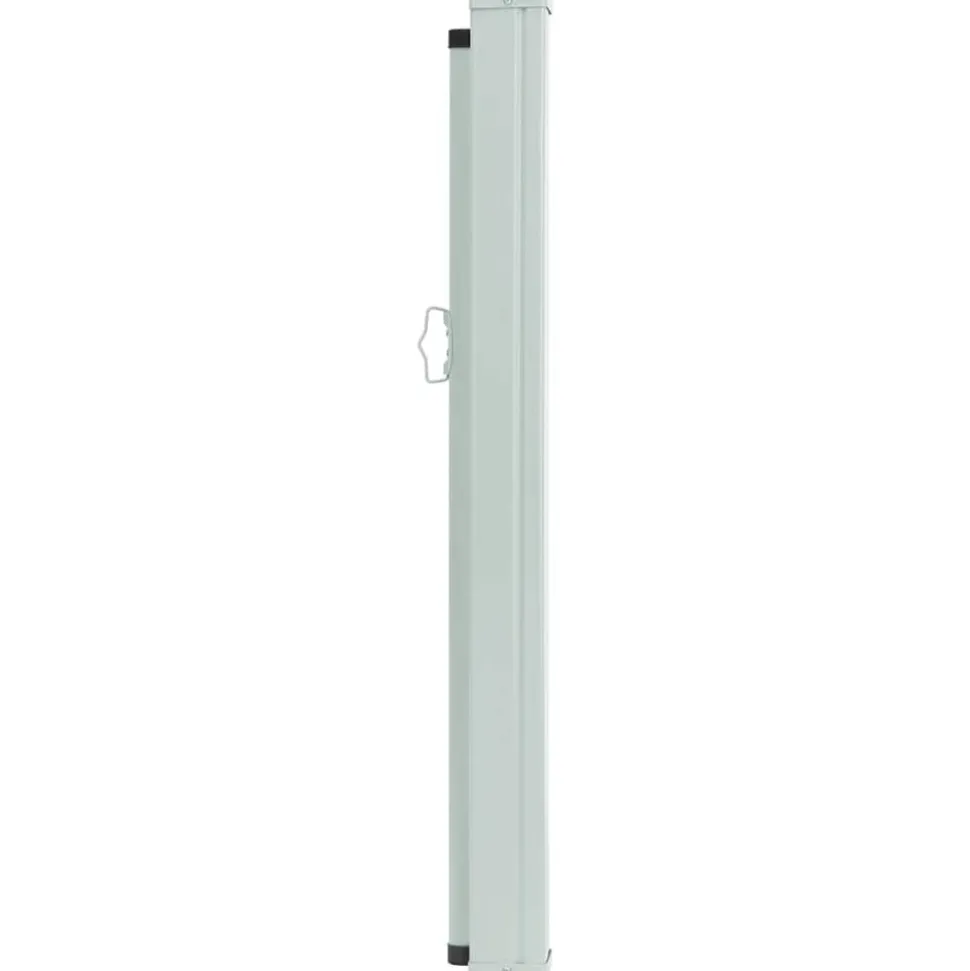 MAISON EXCLUSIVE - Auvent latéral rétractable de patio 100x300 cm noir