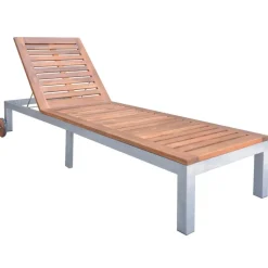 MAISON EXCLUSIVE - Chaise longue avec coussin bois d'acacia et acier galvanisé