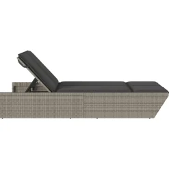 MAISON EXCLUSIVE - Chaise longue double avec coussins gris résine tressée