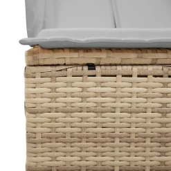MAISON EXCLUSIVE - Chaise longue double avec toit et rideaux beige résine tressée