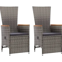 MAISON EXCLUSIVE - Chaise inclinable de jardin 2pc et coussins résine tressée gris