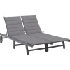 MAISON EXCLUSIVE - Chaise longue de jardin 2 places avec coussin gris acacia