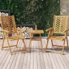 MAISON EXCLUSIVE - Chaises de jardin inclinables lot de 2 bois massif d'acacia