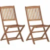 MAISON EXCLUSIVE - Chaises pliables d'extérieur lot de 2 bois d'acacia solide