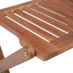 MAISON EXCLUSIVE - Chaises pliables d'extérieur lot de 2 bois d'acacia solide