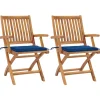 MAISON EXCLUSIVE - Chaises de jardin lot de 2 et coussins bleu royal bois de teck