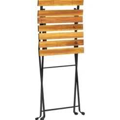 MAISON EXCLUSIVE - Chaises pliables de jardin lot de 2 acier et bois acacia solide
