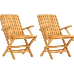 MAISON EXCLUSIVE - Chaises de jardin pliantes lot de 2 61x67x90cm bois massif teck