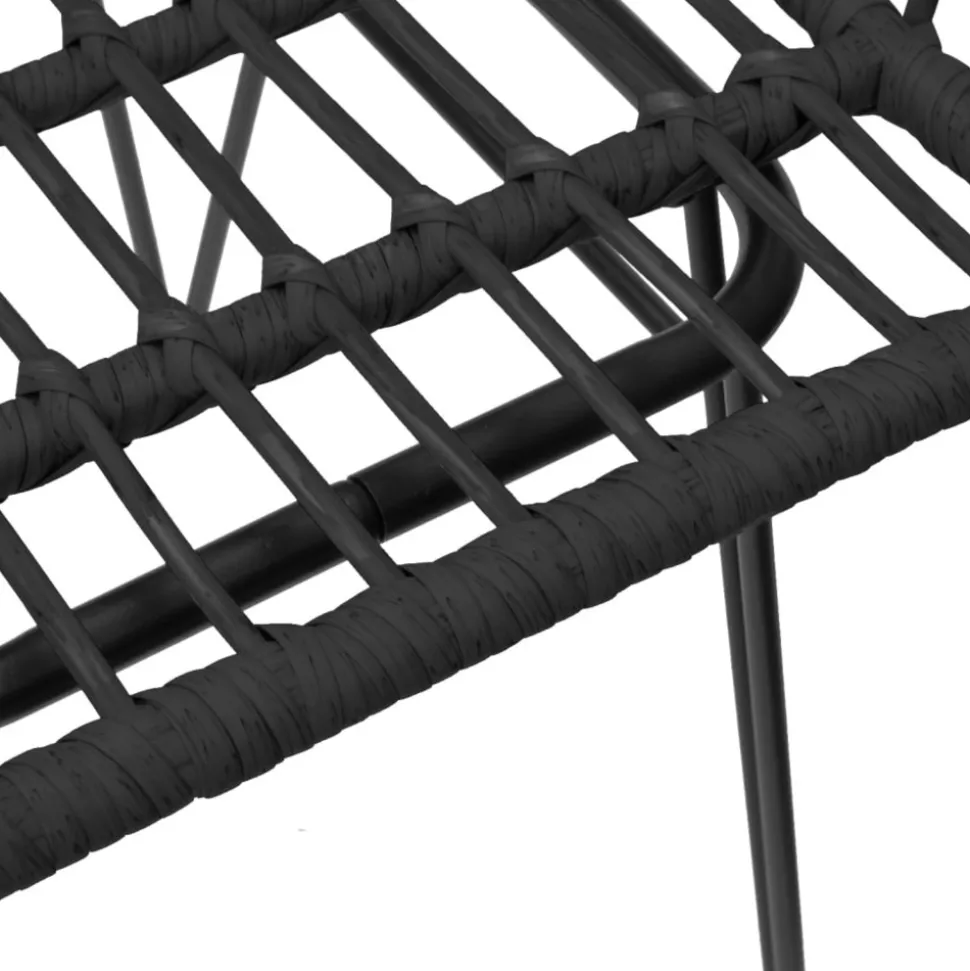 MAISON EXCLUSIVE - Chaises de jardin lot de 2 avec accoudoir noir 56x64x80 cm
