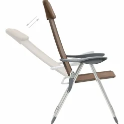 MAISON EXCLUSIVE - Chaises de camping pliables lot de 2 marron aluminium