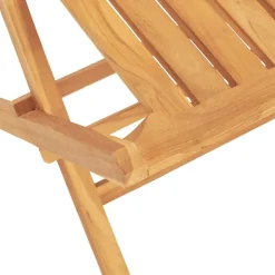 MAISON EXCLUSIVE - Chaises de jardin pliantes lot de 2 47x47x89cm bois massif teck