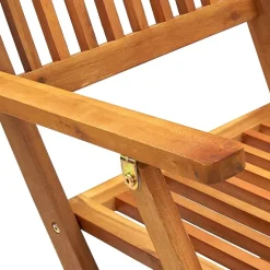 MAISON EXCLUSIVE - Chaises pliables d'extérieur lot de 2 bois d'acacia solide