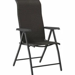 MAISON EXCLUSIVE - Chaises pliables jardin lot de 2 couleur café noir poly rotin